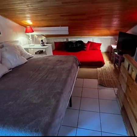 Duplex Face Aux Pistes La Foux D'allos * ラ・フー