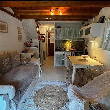 Duplex Face Aux Pistes La Foux D'allos アパート *