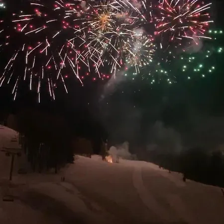 Апартаменты Duplex Face Aux Pistes La Foux D'allos